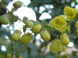 04_0311_hiinan.jpg
