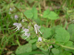 05_0828_miyamata.jpg