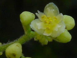 05_0920_a_tudura02.jpg