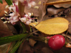 05_1119_5_kitijoso.jpg