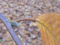 05_1210_h_mokren05.jpg