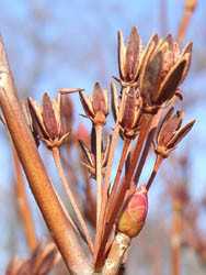 06_0208_2dodan.jpg