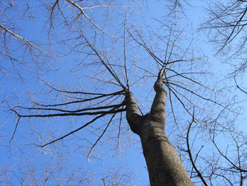 06_0219_6iigiri.jpg