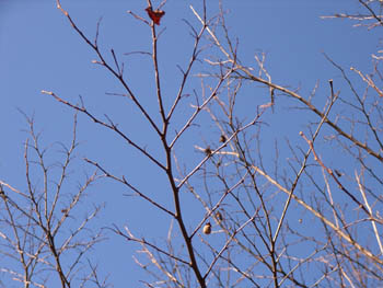 06_0220_ego2.jpg