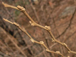 06_0220_ego4.jpg