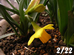 06_0223_suisen1.jpg