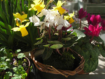 06_0314w_welcome.jpg