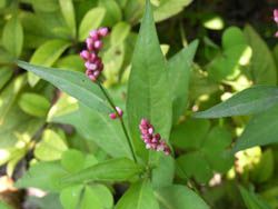 06_0605_3inutade.jpg