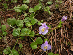06_0609_m_sagigoke3.jpg