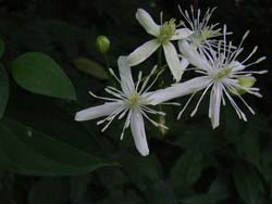 06_0910_senninso1.jpg