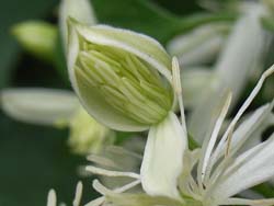 06_0910_senninso2.jpg