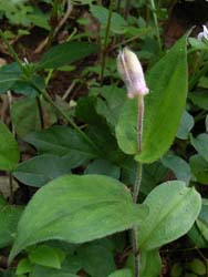 06_0929_yamajino_h2.jpg
