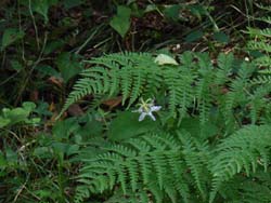 06_0929_yamajino_h3.jpg