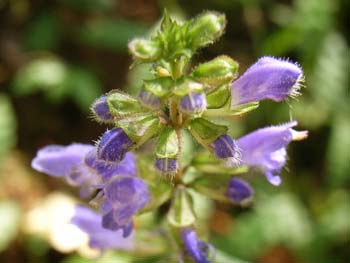 06_1018_aki_tamura6.jpg
