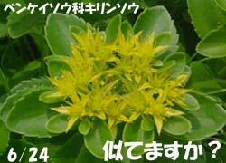 06_1023_akinoki6.jpg