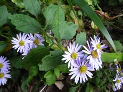 06_1106_nokon01.jpg