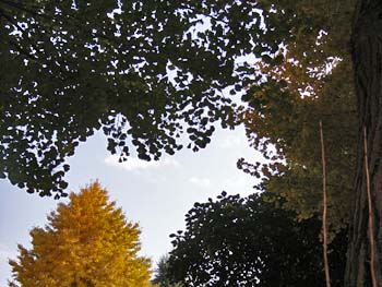 06_1203_icho4.jpg