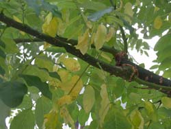 06_1207_enju1.jpg