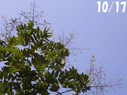 06_1207_enju3.jpg