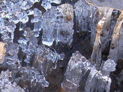 07_0207_simobasira.jpg