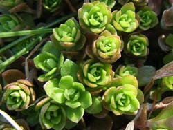 07_0219_sedam3.jpg