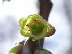 07_0309_5kibusi.jpg