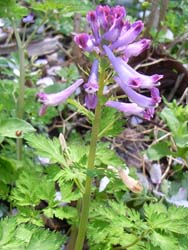 07_0410_m_kemanso1.jpg