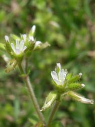 07_0512_o_mimina2.jpg