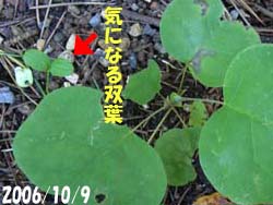 07_0623_yurinoki5.jpg