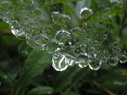 07_0707_raindrops1.jpg