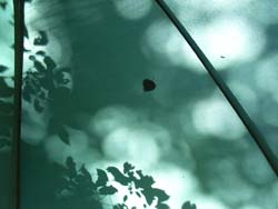 07_0815_camp1.jpg