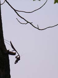 07_0815_camp3.jpg