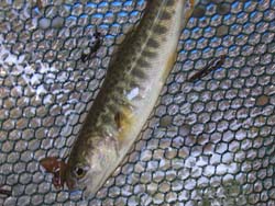 07_0817_camp1.jpg