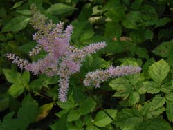 07_0817_camp7.jpg