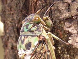 07_0822_minmin5.jpg