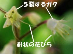 07_0825_zudayakushu4.jpg