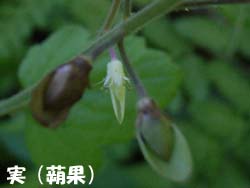 07_0825_zudayakushu5.jpg