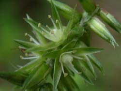 07_0906_h_inokozti2.jpg