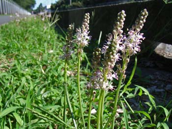 07_0923_turubo.jpg