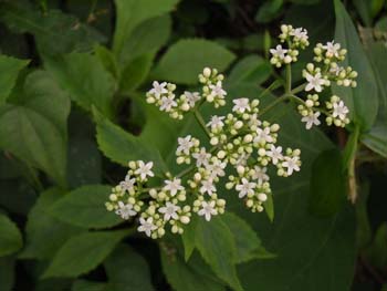 07_0930_otokoesi_a1.jpg