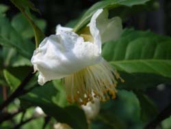 07_1009_cha2.jpg