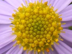 07_1013_k_yomena4.jpg