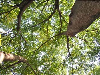 07_1026_muku2.jpg