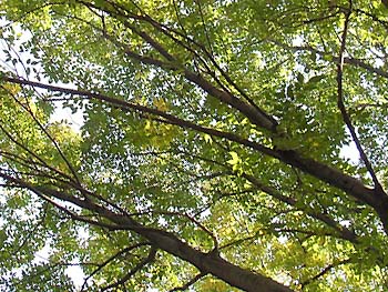 07_1026_muku4.jpg