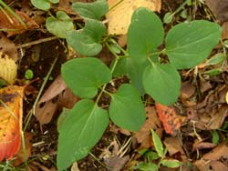 07_1120_senninso1.jpg