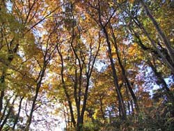 07_1206_colorful02.jpg
