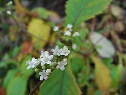 07_1207_otokoesi.jpg