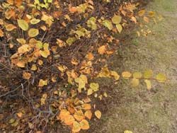 07_1210_hyuga_m1.jpg
