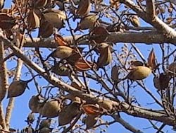07_1221_kiri3.jpg