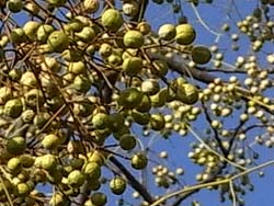07_1221_sendan2.jpg